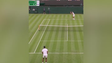 Record-breaking serve shocks Wimbledon crowd with unexpected result