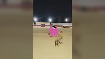 “Estuve en España... Toreé, enfundé toros e hice de todo; ahora vuelvo al fútbol”