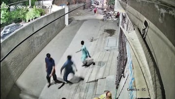 El terrible ataque de un león a una mujer y un niño en Pakistán