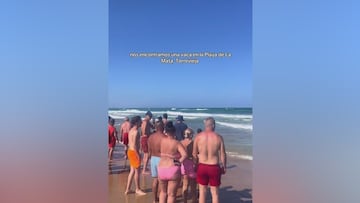 No es un tiburón ni tampoco una ballena: la aparición de un animal en el Mediterráneo que nadie entiende