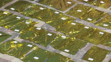 Emocionante homenaje a las víctimas de la DANA en Valencia: toca la fibra sensible