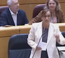 Pillan a un senador del PP vapeando a escondidas durante el discurso de la ministra de Sanidad