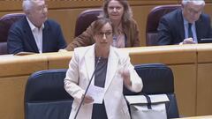 Pillan a un senador del PP vapeando a escondidas durante el discurso de la ministra de Sanidad