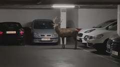 La aparición en un parking en Zamora que parece sacada de una serie de ficción: ver para creer