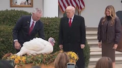 Presidential gobble: Trump mimics turkey in unforgettable pardon moment
