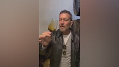 Antonio Banderas prueba un vino de hace 300 años y las redes no dan crédito: “Diarrea asegurada”