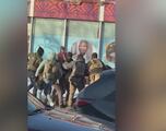 Video shows ICE agents shooting person in Minneapolis near Glam Doll Donuts
