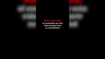 Un hombre es asesinado a tiros por agentes de ICE en Minneapolis