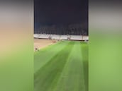 El desolador estado de Vallecas a solo 4 días del próximo partido: cambio de césped