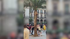 Aficionados del Newcastle la lían con una palmera en el centro de Barcelona: la secuencia es cómica