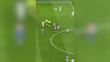 The explosive moment Atletico’s captain confronts the referee at full time after Real Madrid’s Derby win