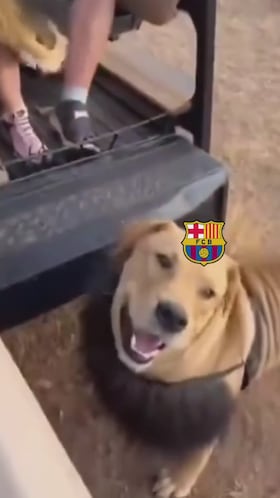 El Atlético se mofa de la ‘remontada’ del Barça con este vídeo que inunda las redes con 3,5M de visualizaciones