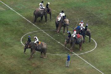 El partido de Polo sobre elefantes en Tailandia