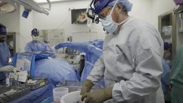 ¿Fue exitoso el trasplante de riñón de cerdo a un hombre con muerte cerebral?