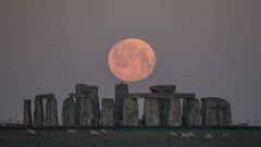the pink supermoon 