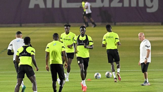 Photo of Aliou Cissé on Senegal tragedy ahead of England clash