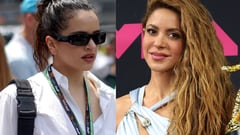 Shakira no quiere hacer una colaboración con Rosalía: “La odia”