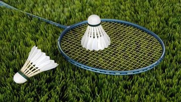 Malaysian badminton pair banned 15 and 20 years for match-fixing