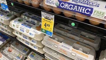 burlarse de Trascender Limpiamente El motivo por el que ya casi no se venden huevos blancos en los  supermercados - AS.com