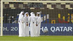 Qatari sheikhs