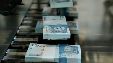 Dinero colombiano destinado a Ingreso Soldiario.