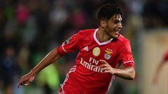 El atacante del Benfica ya contabiliza cinco t&iacute;tulos oficiales en sus tres temporadas en el viejo continente.