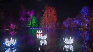 El Jardín Botánico se ilumina por Navidad: fechas y cómo conseguir entradas