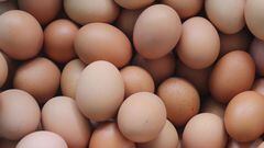 Los precios del huevo se disparan en Estados Unidos, alcanzando cifras récord. A continuación, por qué está tan caro y cuándo se espera que bajen los precios.