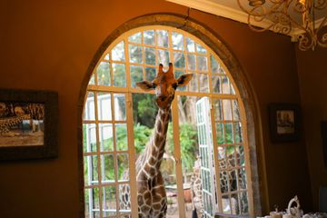 Giraffe Manor, en Kenia.