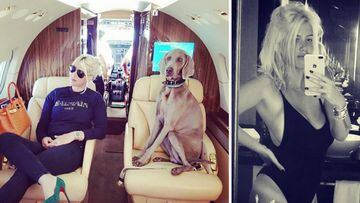 Polémica Wanda: su perro viaja a todo lujo rumbo a Ibiza