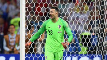 Subasic to play through pain barrier against England