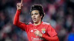 Joao Felix, futuro jugador del Atl&eacute;tico, celebra un gol con el Benfica.