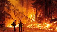 El incendio &lsquo;Dixie&rsquo; ha consumido m&aacute;s de 463,000 acres, por lo que ahora es considerado como el segundo incendio forestal m&aacute;s grande en la historia de California.