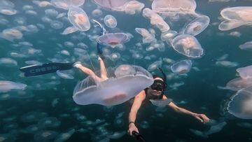Una mujer nadando entre medusas en el mar, grab&aacute;ndose con un palo selfie. 