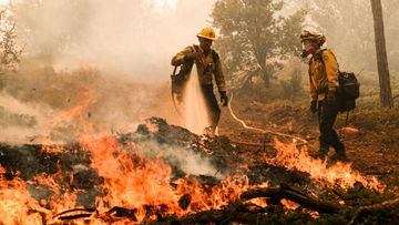 Firefighters work to control a backfire operation conducted to slow the advancement on a hillside during the Oak Fire in Mariposa County, California.