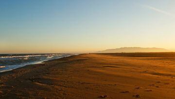 Situada en el privilegiado entorno natural del delta del Ebro, la playa de los Eucaliptos es uno de los enclaves mejor conservados de la zona. Se trata de una larga franja de playa que se extiende a lo largo de casi seis kilómetros y 200 metros de anchura entre dunas bajas y una flora de un valor extraordinario en la que se combinan los arrozales y los eucaliptos que dan nombre a la playa. 