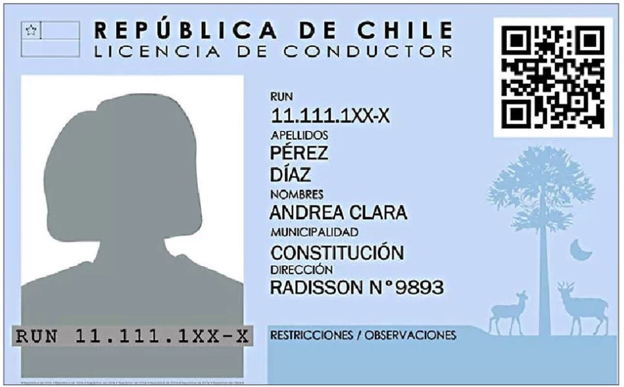 Nueva Licencia De Conducir Qué Novedades Tiene Y Dónde Obtenerla As Chile 6495