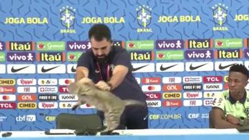 ¿Maltrato?: la reacción del jefe de prensa de Brasil con un gato que generó debate en redes