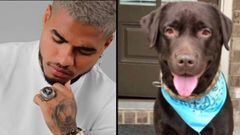 El futbolista venezolano del Atlanta United, hab&iacute;a perdido a su perro Hachiko por lo que recurri&oacute; a las redes sociales para recuperarlo, y as&iacute; fue.