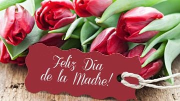 Día de las Madres en México 2023: las mejores imágenes frases para celebrar este día - Tikitakas
