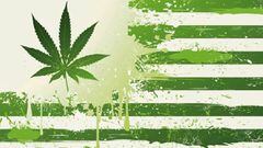 La bandera de USA transformada por el s&iacute; a la marihuana