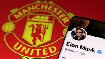 Elon Musk's twitter account and Manchester United logo are seen in this illustration taken, August 17, 2022. REUTERS/Dado Ruvic/Illustration