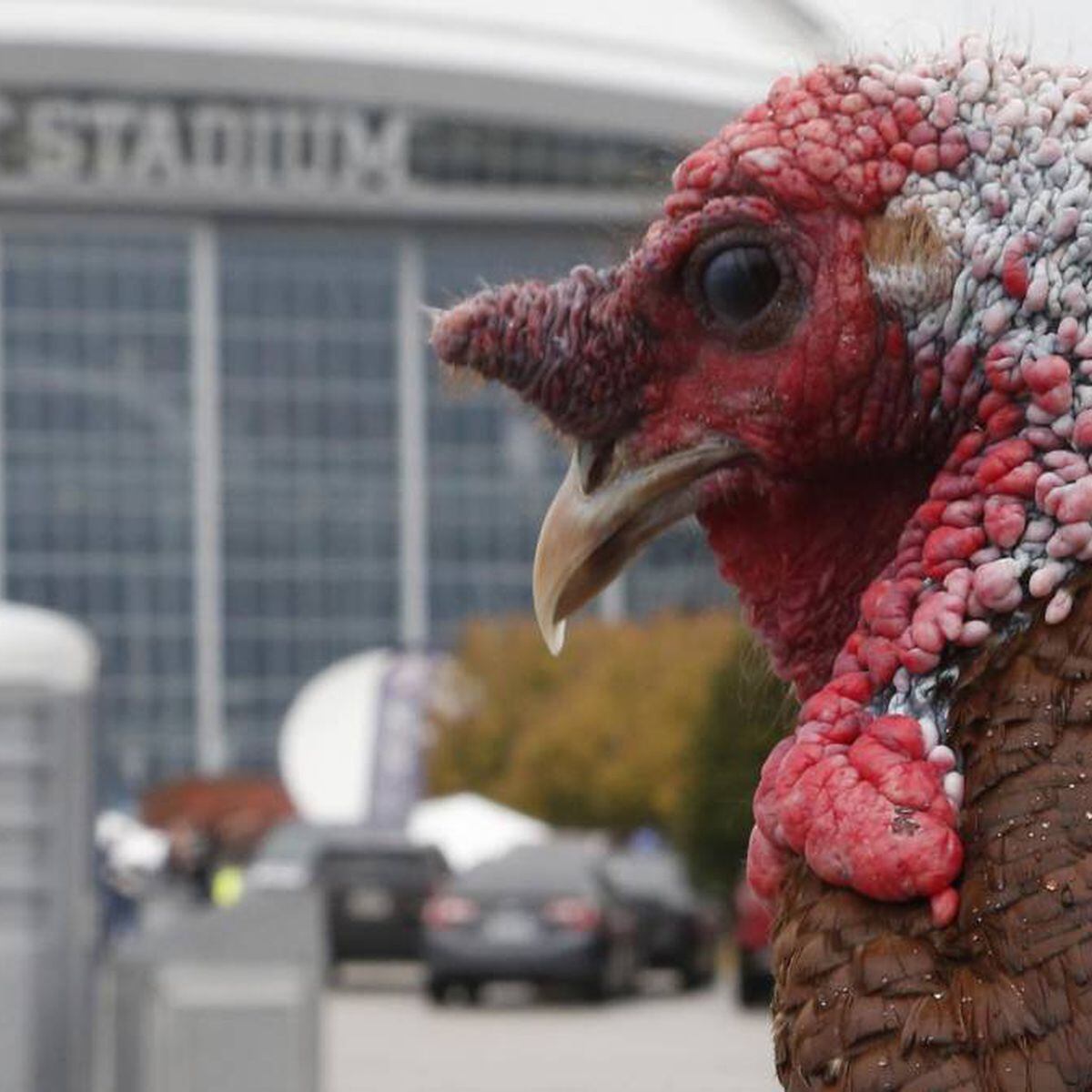 Why we watch football on Thanksgiving