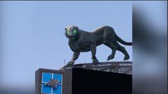 El video de realidad virtual de Panthers para el juego contra Jets