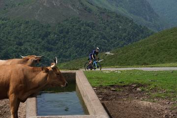 En la cima también se pueden observar bebedores donde las vacas y el resto del ganado se alimentan. Es una zona desconocida para los propios cicloturistas asturianos, y se espera que tras el paso de La Vuelta aumenten las visitas de los aficionados al ciclismo. 