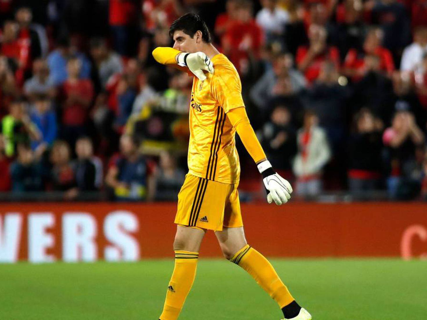 Real Madrid recruit Thibault Courtois replacement - DoingBuzz News