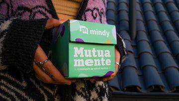 Startup chilena desarrolla una novedosa iniciativa para la salud mental