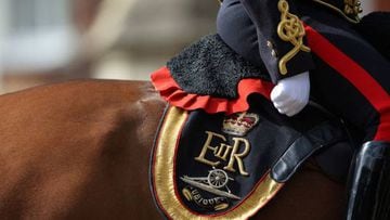 A general view of Britain's Queen Elizabeth II's cypher on a horse saddle in Windsor.
