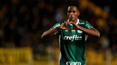 Yerry Mina, un defensa hecho para la Copa Libertadores