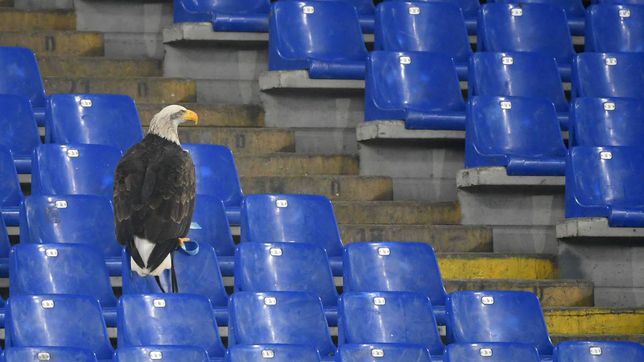 El águila de la Lazio se para en la grada de la Roma 